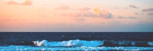 Nimrit04's profile banner image