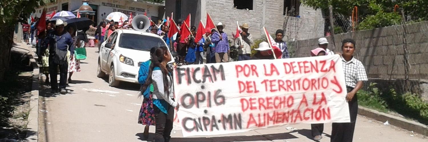 opig_cnpamn's profile banner image