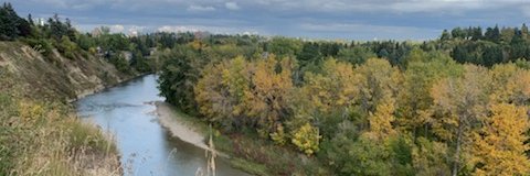 derek_euale's profile banner image