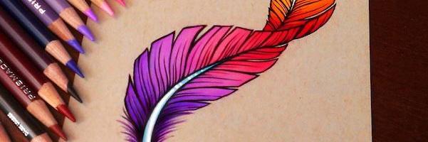 LSudato's profile banner image