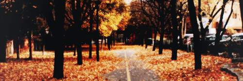 caradglimit's profile banner image