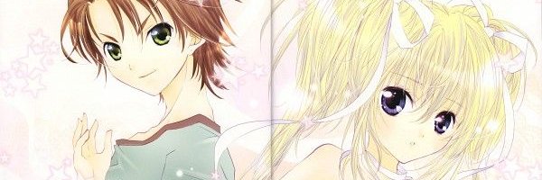 kyn banner