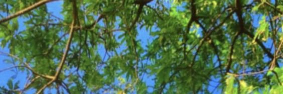 Altcoinandy's banner
