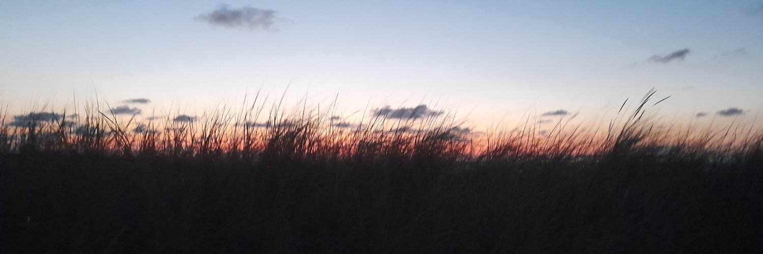 Jannis banner