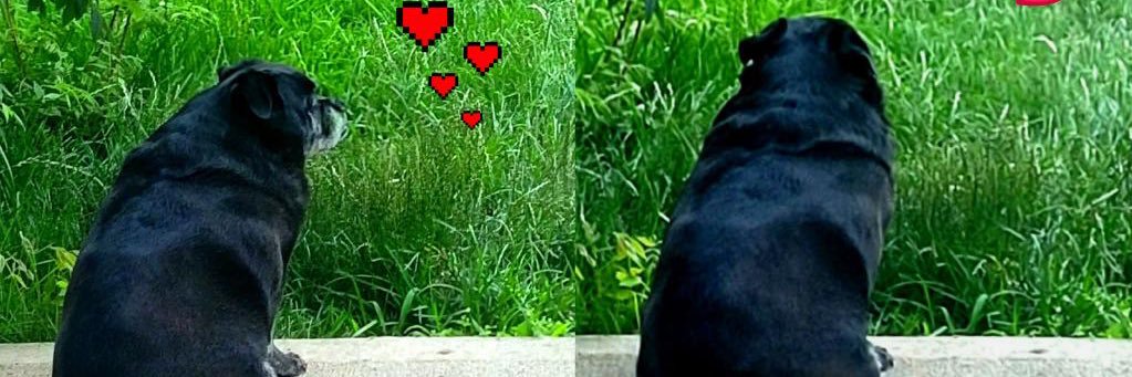 tjison13's profile banner image
