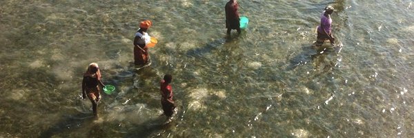 futurecologies Profile Banner