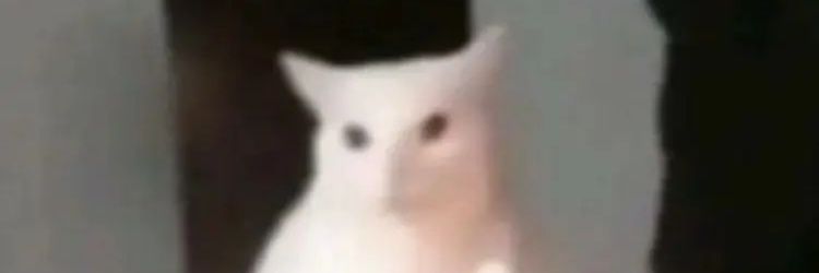 ArtyPlebian's profile banner image