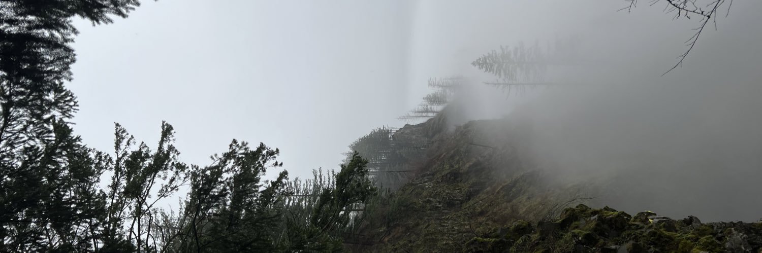 kylemattson4's profile banner image
