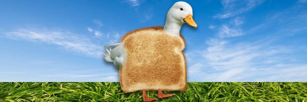 aducknamedtoast Profile Banner