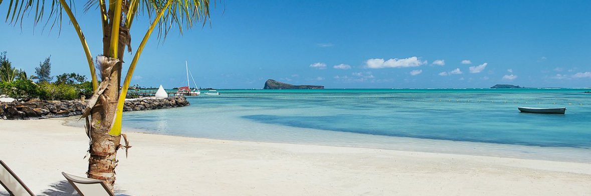 MastersOfClover banner