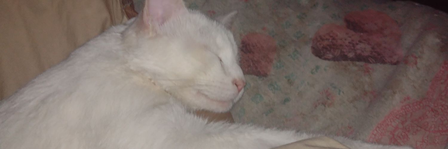 FioRomeroo's profile banner image