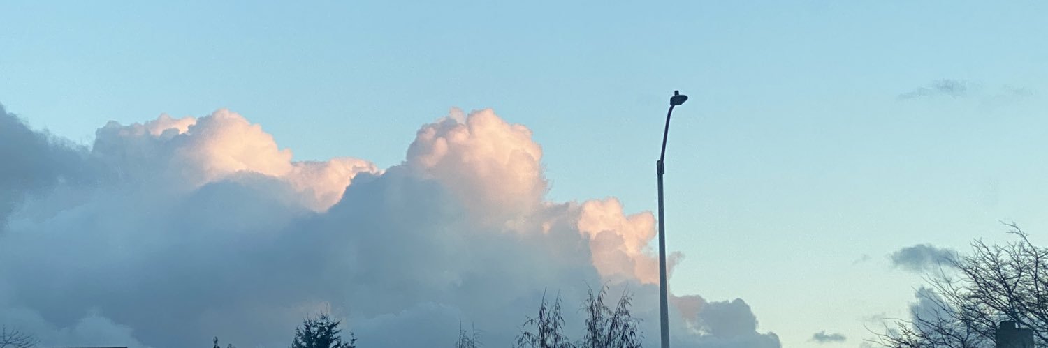 Rivulet 🩷💜💙 banner