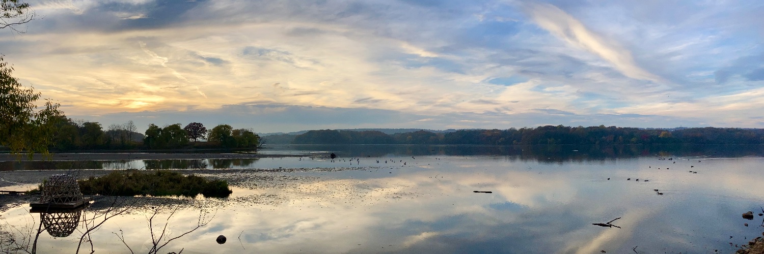 Bay Area Restoration Council (BARC) banner