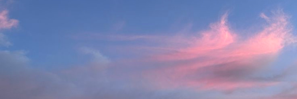 ☁️🩵 Foxboy 🩵☁️ banner