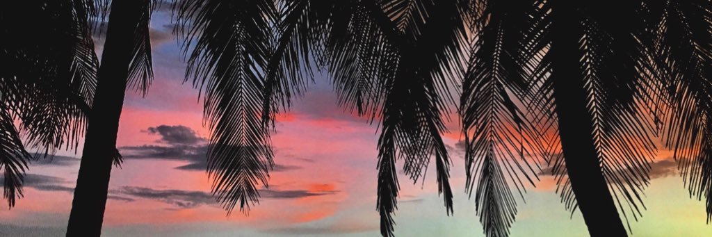 ks_ortega's profile banner image