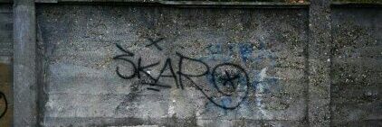 skaro_17's profile banner image