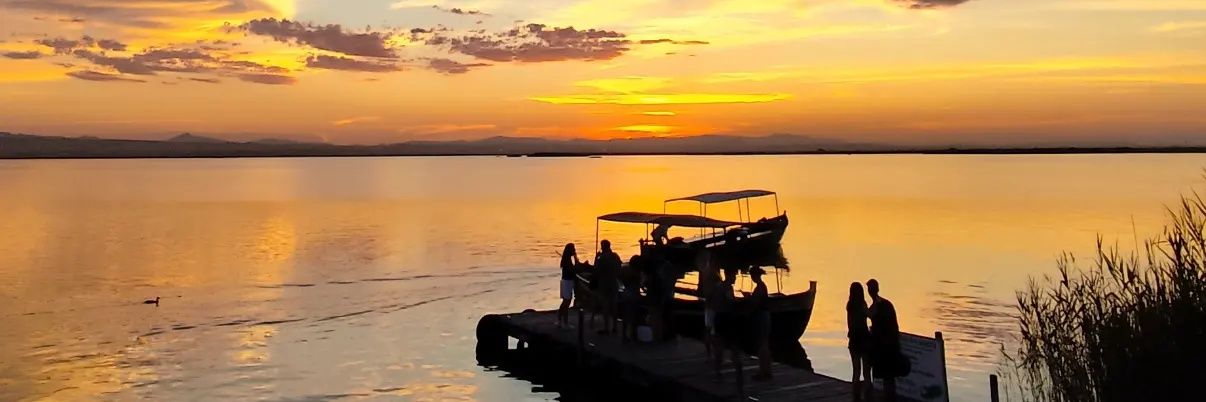 santitourres's profile banner image