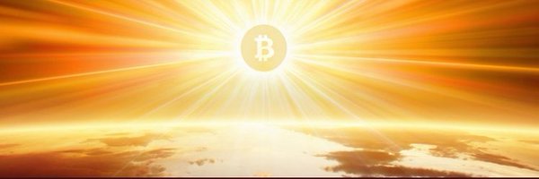 NZ305500 Profile Banner