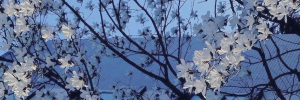radhaxel Profile Banner