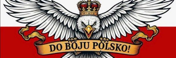 KnightCziwi Profile Banner