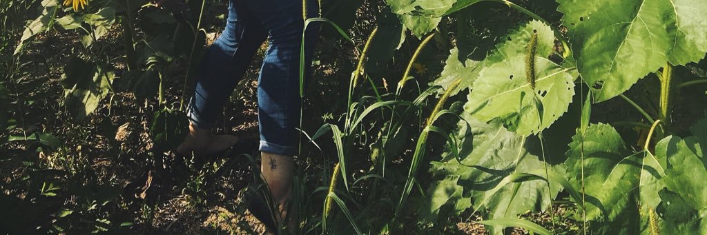 allie_kat26's profile banner image