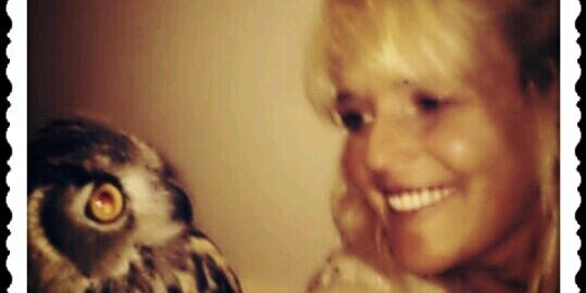 lenetteholter's profile banner image