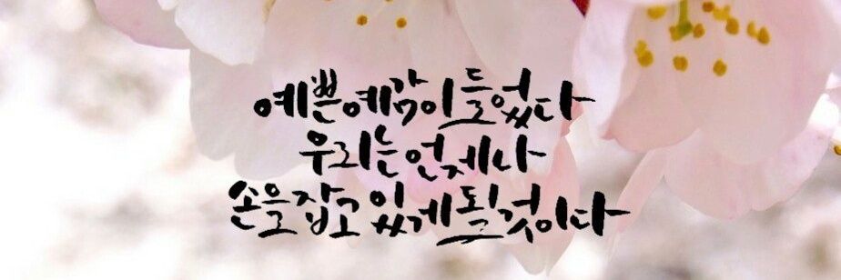 syang215's profile banner image