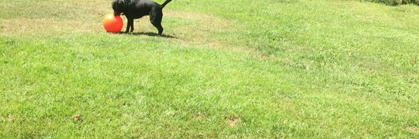 krissirocks Profile Banner