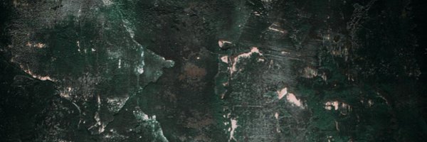 Scott_Allisson Profile Banner