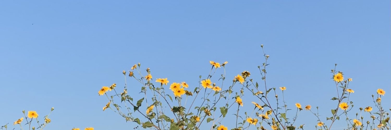 kodachi's profile banner image