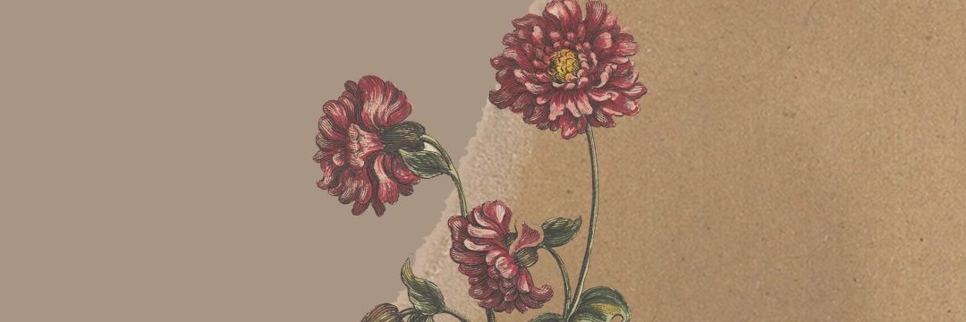 rsenaer's profile banner image