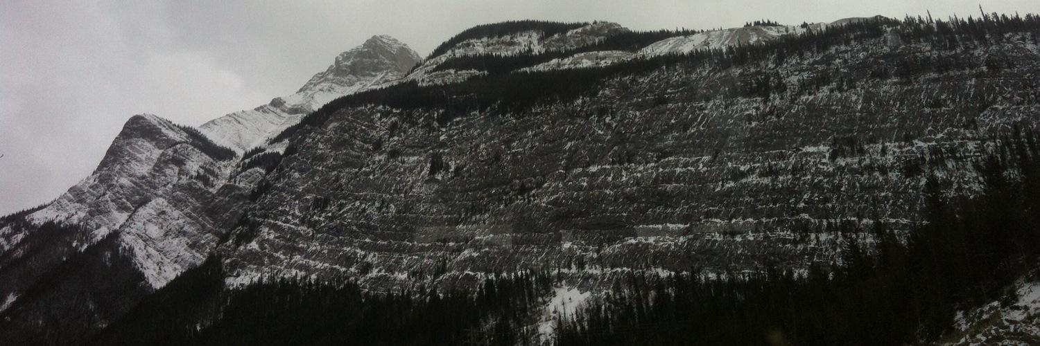 NNixon_'s profile banner image