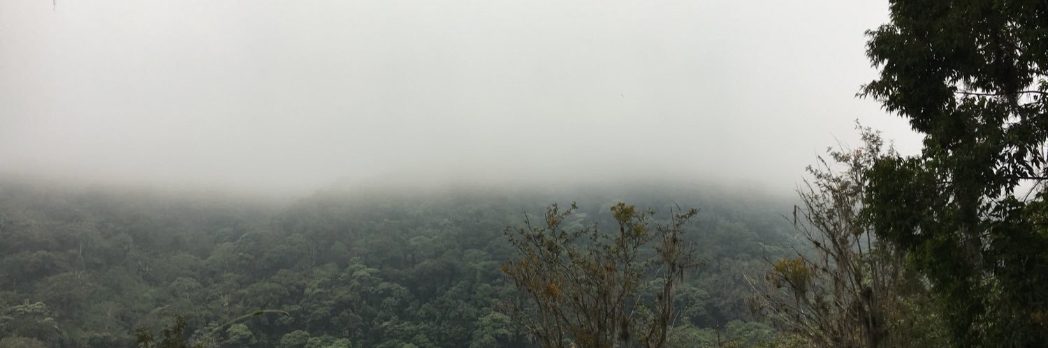 JoseSanRoman58's profile banner image