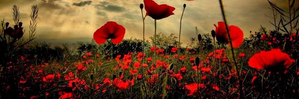 Rob_Martin101 Profile Banner