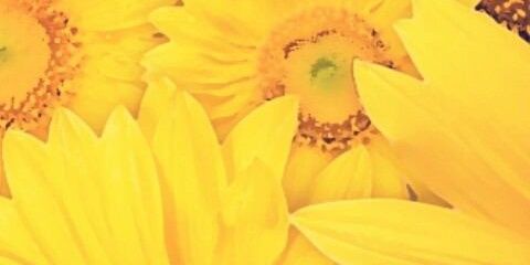 ayapon0501's profile banner image