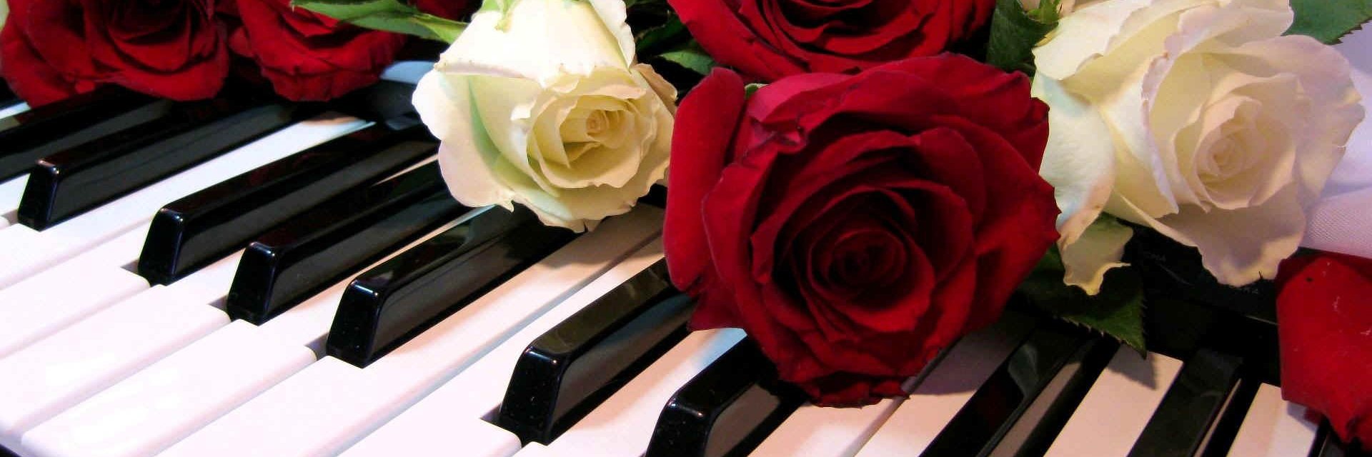 HighSoprano2's profile banner image