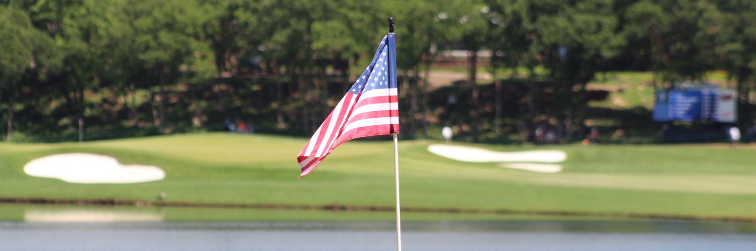 Toddomatic ⛳️'s banner