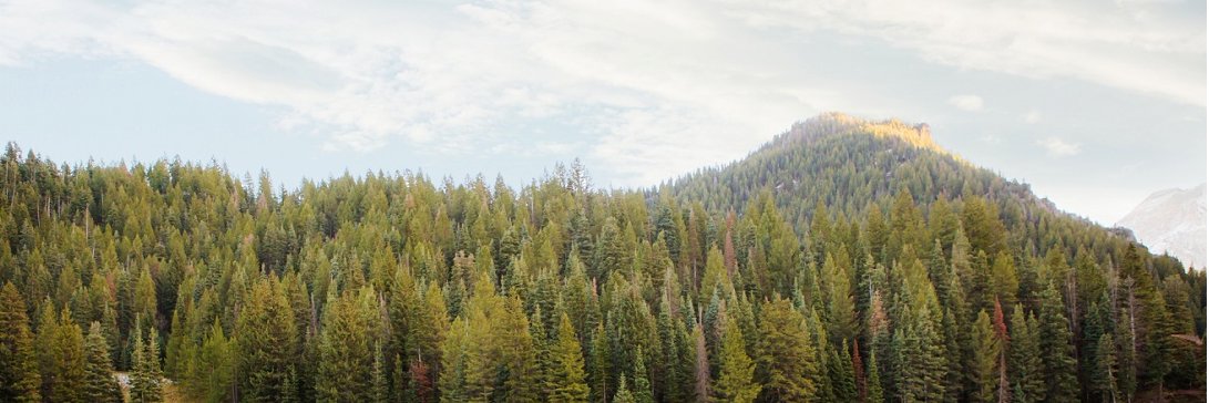 joelvedo's profile banner image