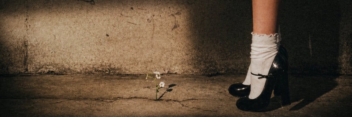 ang ꕤ ⊹₊ banner