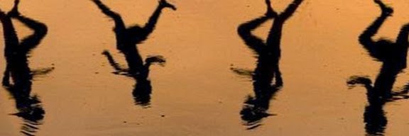 Elliott Prasse-Freeman banner