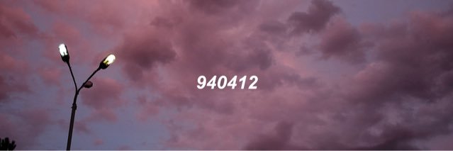 🍕™ banner