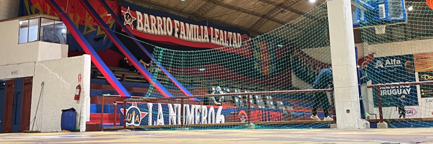 𝙋𝙀𝙇𝘼 banner