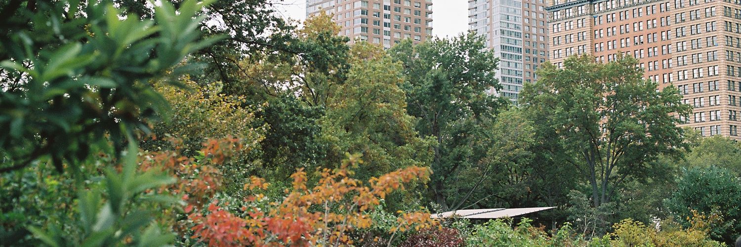 DanielCookNE's profile banner image