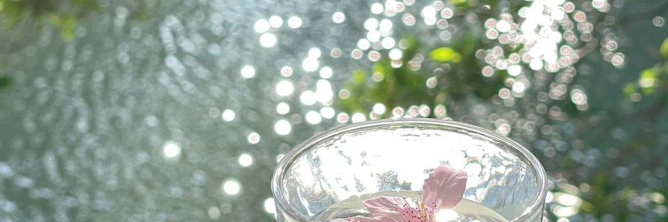 luizaaoo's profile banner image
