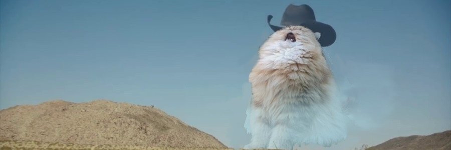 𝙶𝚊𝚕𝚕𝚊𝚐𝚑𝚎𝚛 🌻 banner