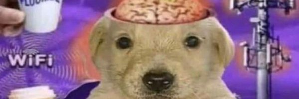 Shmebulok021 Profile Banner