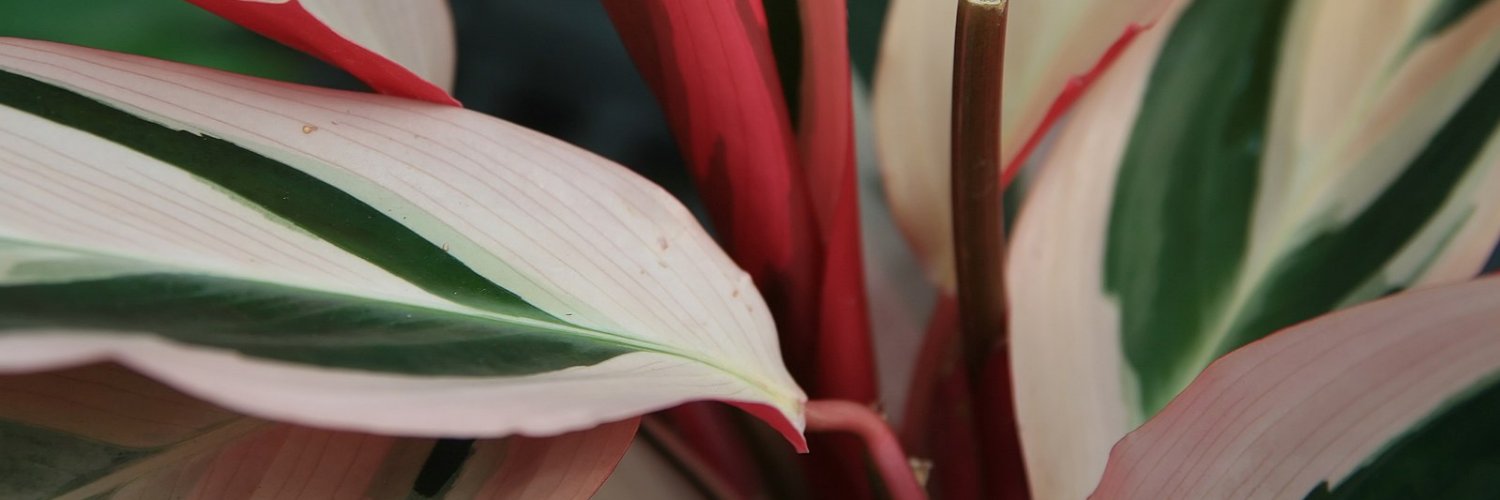 williamalford_'s profile banner image
