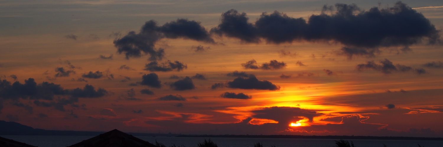 ERINNN_(エリン) banner