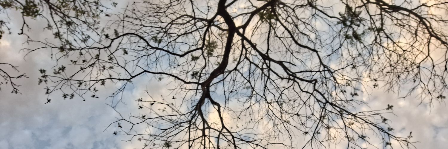 JacksonCle58335's profile banner image