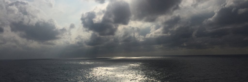 MVYMILF's profile banner image